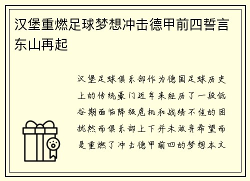 汉堡重燃足球梦想冲击德甲前四誓言东山再起