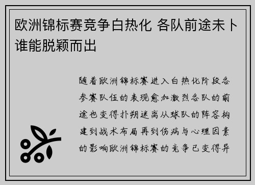 欧洲锦标赛竞争白热化 各队前途未卜谁能脱颖而出